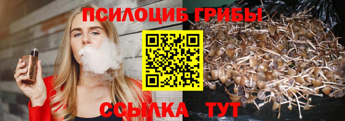 Галлюциногенные грибы Psilocybine cubensis  Вход с VPN  Новошахтинск  Псилоцибиновые грибы мицелий 